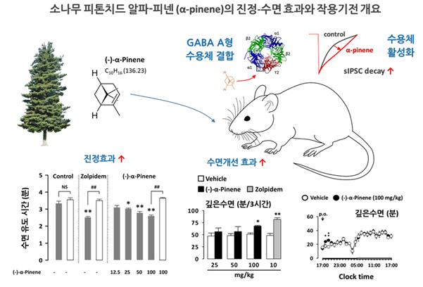 소나무 피톤치드 알파-피넨의 진정-수면 효능 및 작용기전 개요도