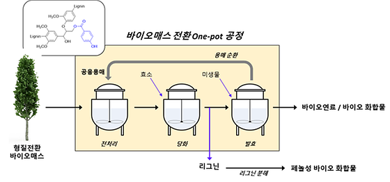 그림 1. 친환경 공융용매를 이용한 바이오매스로부터 바이오연료 및 바이오 화합물을 생산하는 원팟 전환 공정 (one-pot process)