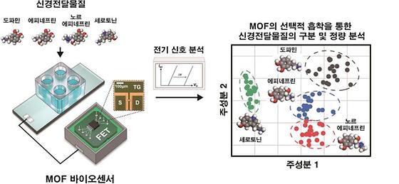 [그림 1] (좌) MOF가 도﻿입된 반도체 기반 바이오센서의 구조 (우) 바이오센서를 활용하여 신경전달물질을 전기적 신호 패턴을 통해 구분한 결과. 구조가 매우 비슷한 다종의 신경전달물질은 MOF에 선택적으로 흡착되며, 이에 따라 다른 전기신호 패턴을 나타냄. 패턴 분석을 통해 각 신경전달물질을 구분하고 정량적으로 검출함.