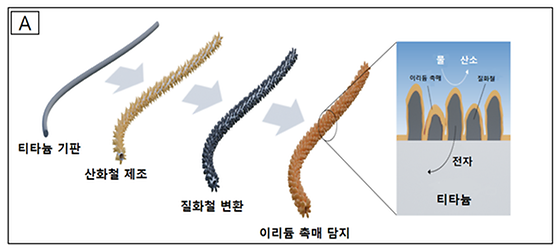 본 개발 전극 제조 공정 모식도