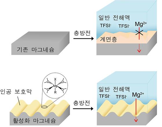 화학적 활성화 전 후 마그네슘 금속의 충방전 반응 비교